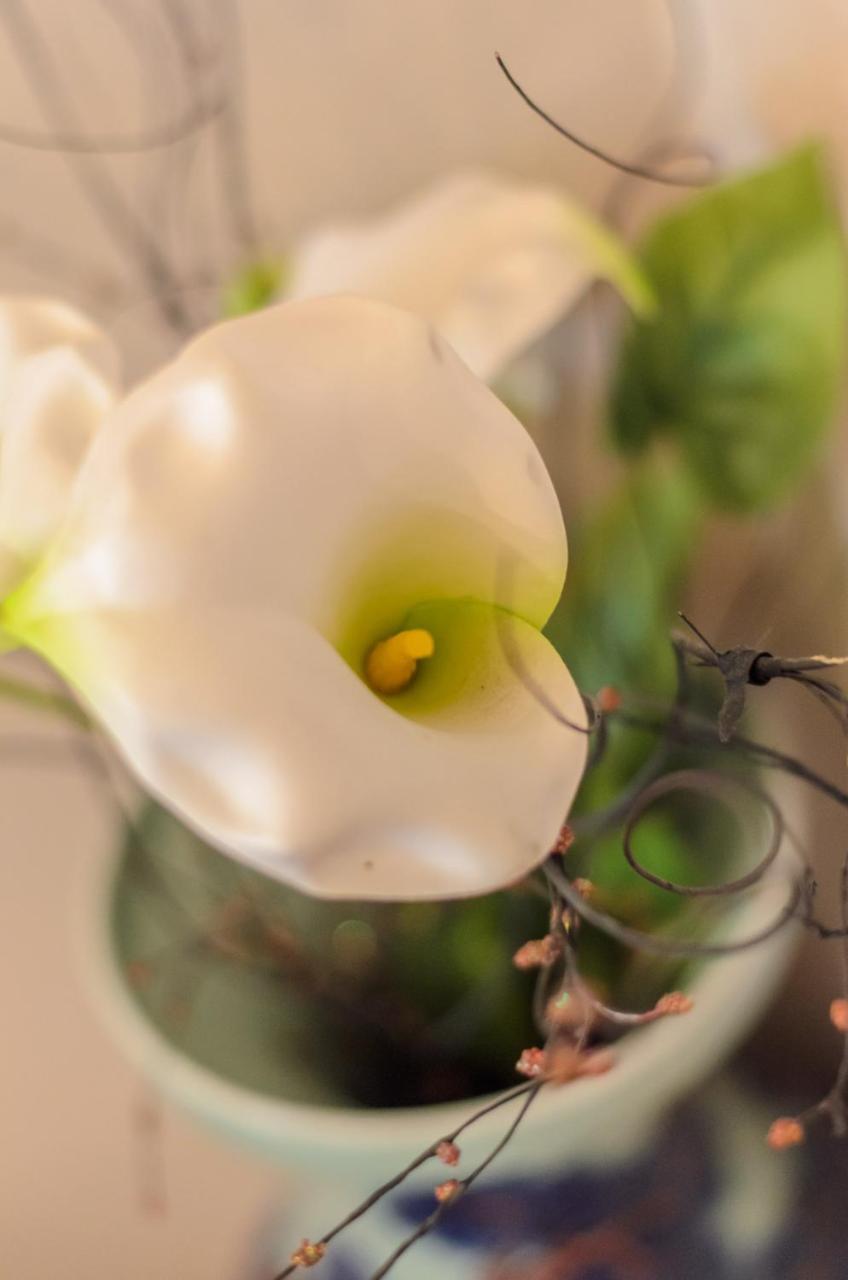 Apartment Greenview ベオグラード エクステリア 写真